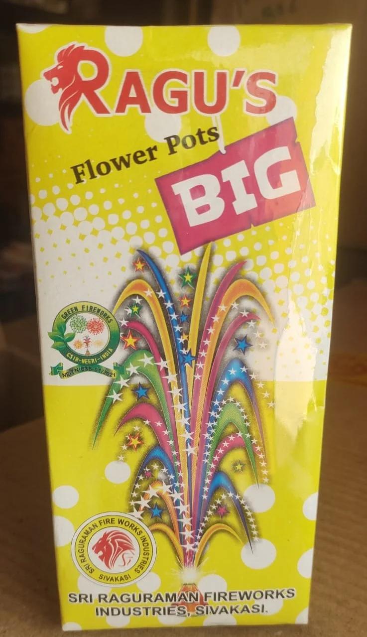 FLOWEER POT BIG.jpeg